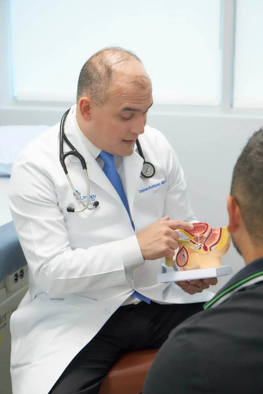 Un urólogo del grupo explica un modelo anatómico a un paciente durante la consulta